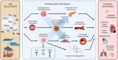 A review of air pollution as a driver of cardiovascular disease risk across the diabetes spectrum